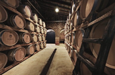 myilands - Lagerraum © Bodega Ribas