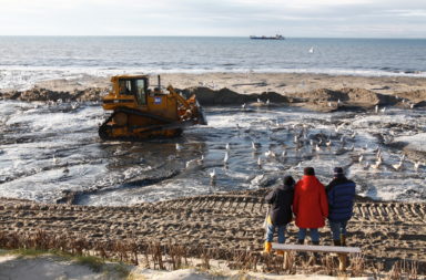 Mit schweren "Raupen" wird aufgespülter Sand am Strand verteilt // Foto © Schwarzbach / LKN.SH
